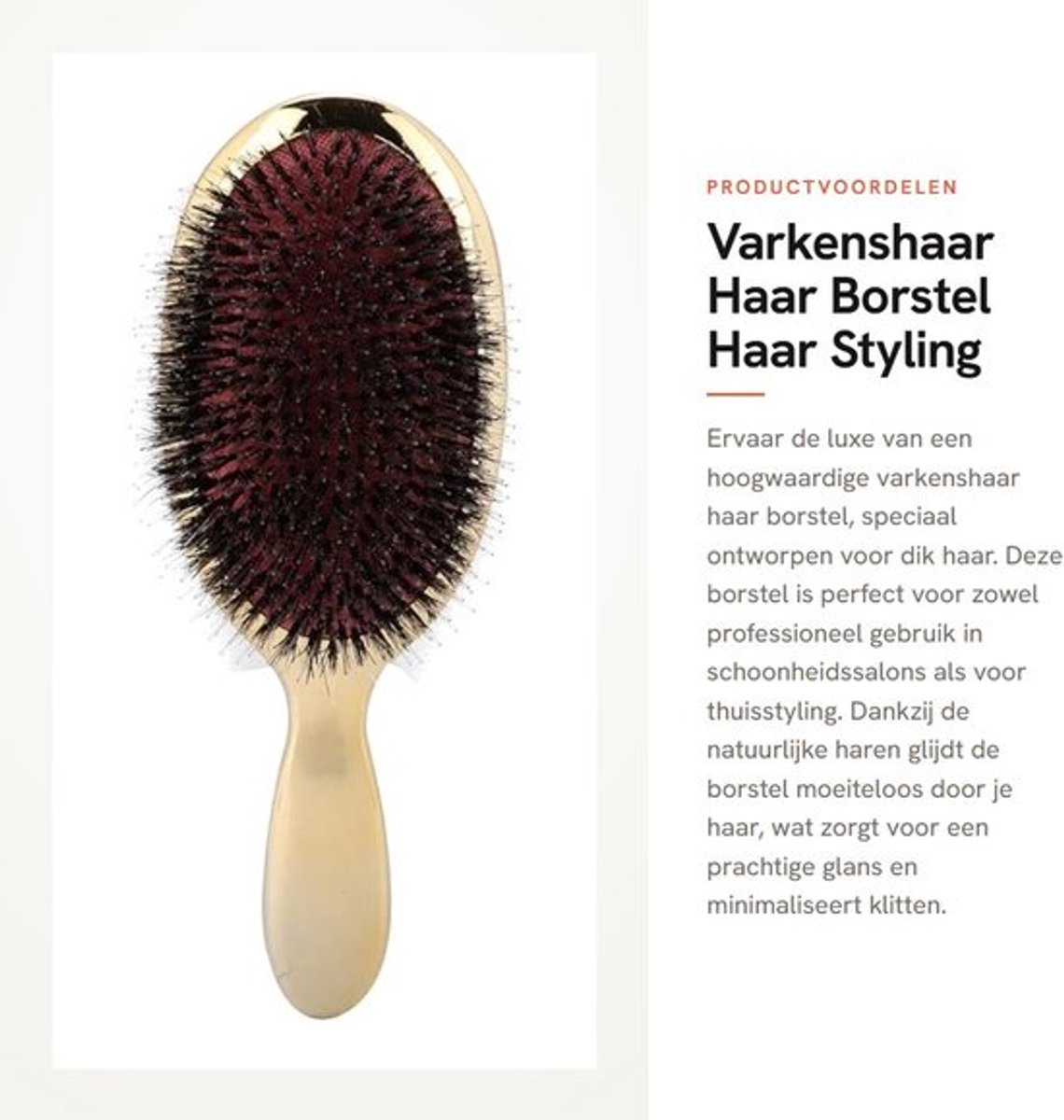 Varkenshaar Borstel - Antiklit - Voor Dik Haar - Voor Haar Styling - Voor Schoonheidssalon - ABS-handvat, Comfortabel in de Hand - Haarborstel