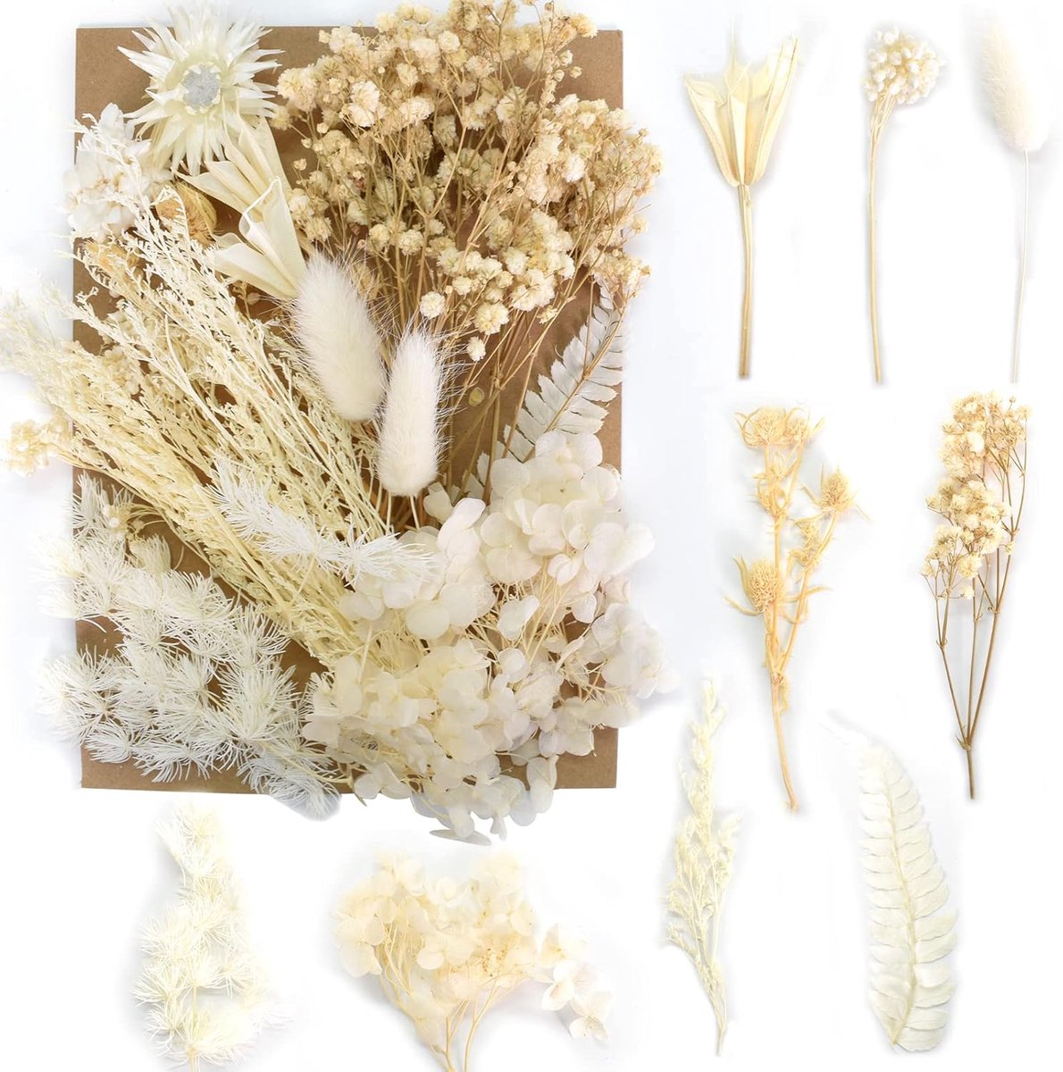 SnelShoppen - Natuurlijke Gedroogde Bloemen voor Resin, Decoratieve Gedroogde Bloemen voor Kaarsen, DIY Dried Pressed Bloemen, Perfect voor Feesten, C
