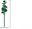 Silhouet van een enkele, lange tak met veel bloemen en bladeren.