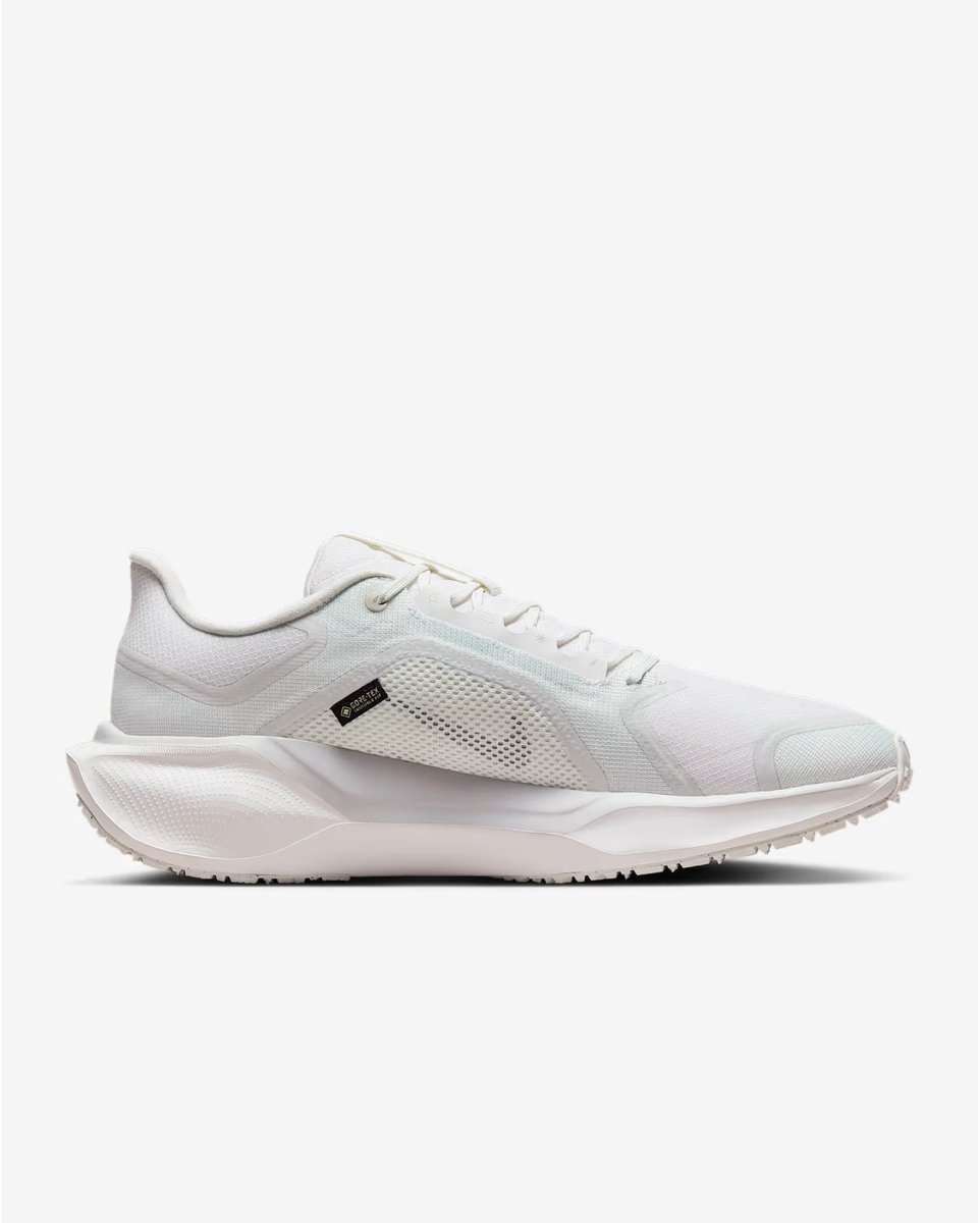 AIR ZM PEGASUS 41 GTX FQ1356-101 Nike Air Zoom Pegasus 41 GORE-TEX Sneakers voor Heren Veelkleurig