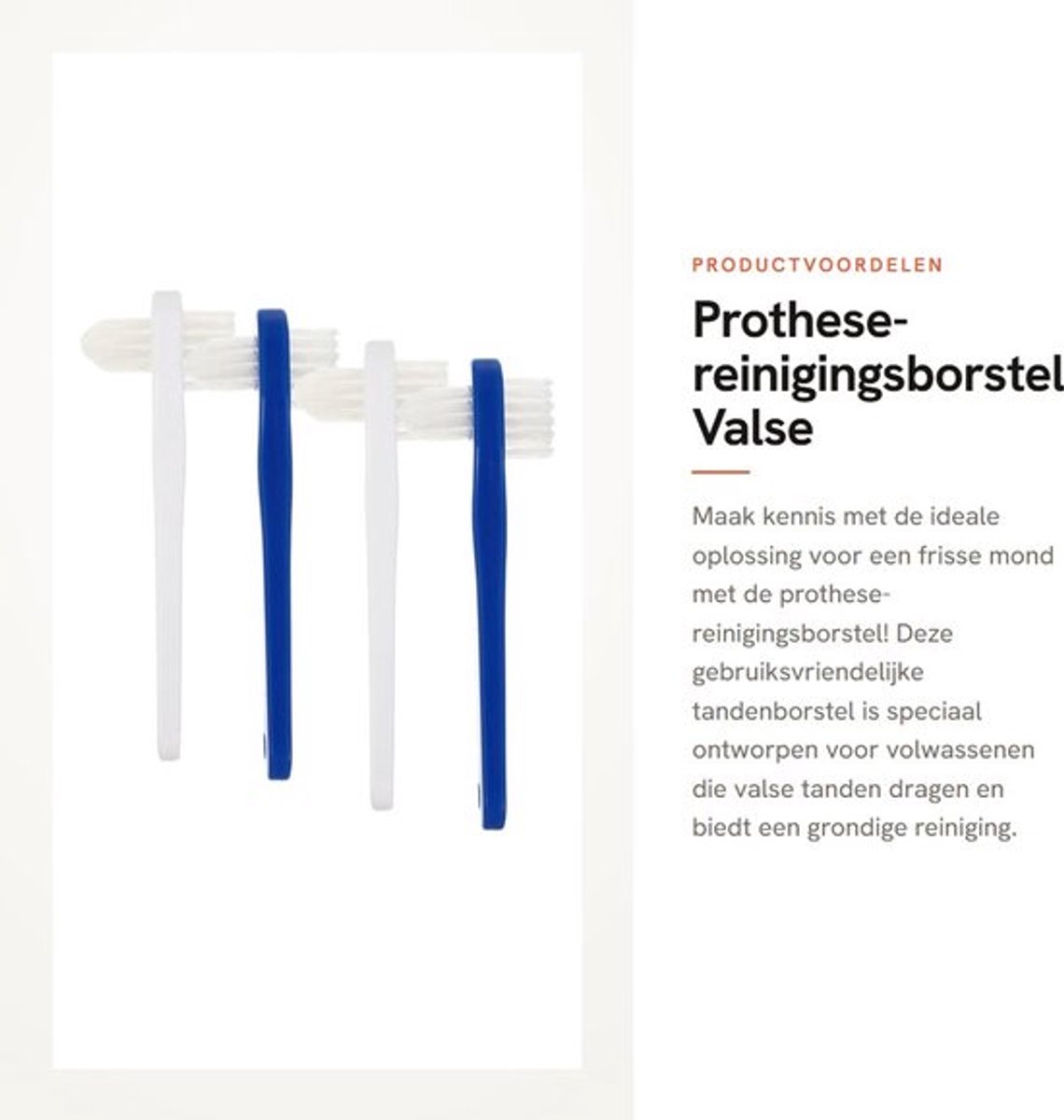 Prothese-reinigingsborstel 4 stuks - Draagbare Valse Tandenborstel - Dubbelzijdige Borstels - Ergonomisch Handvat - Geschikt voor Volwassenen - Schuine Borstelkop