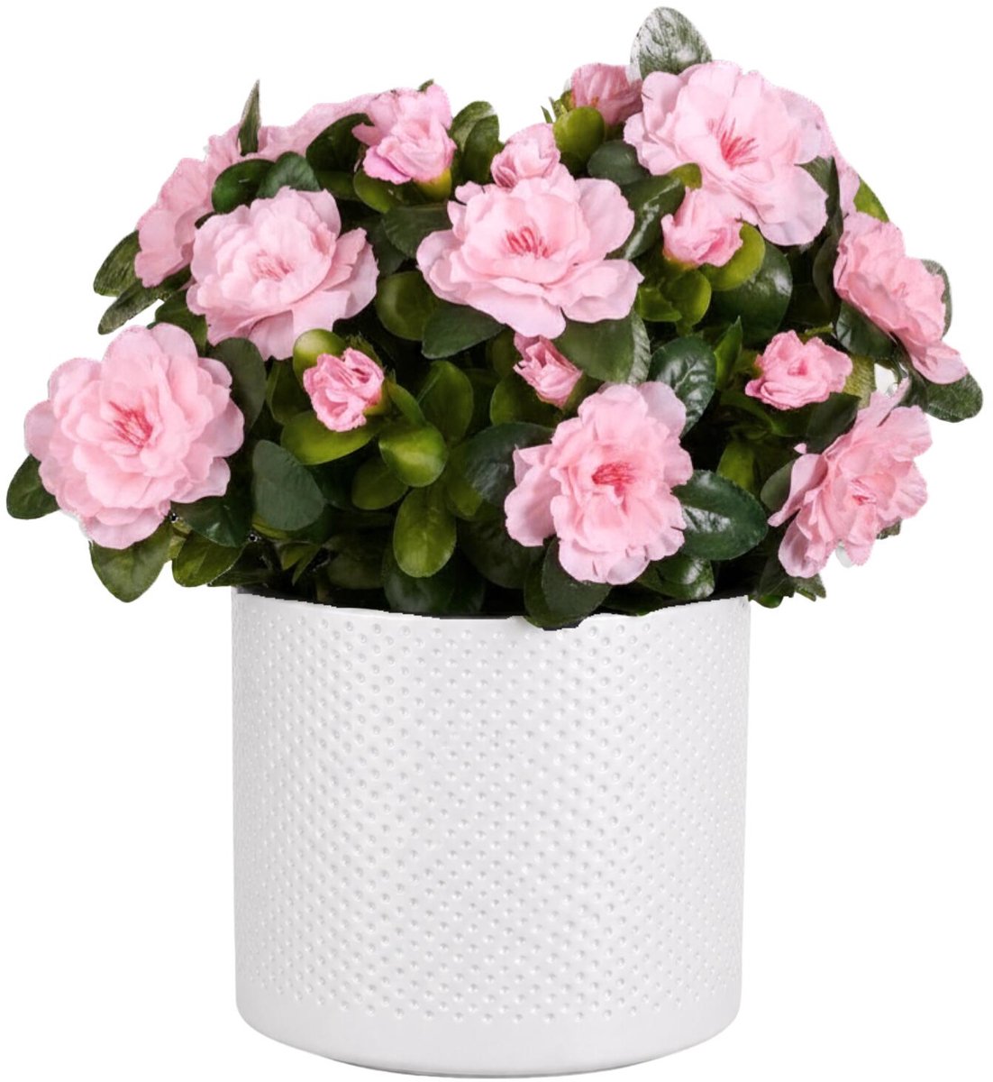 Mica Decorations Kunstplant - Azalea roze - H31 cm - in witte bloempot - keramiek - complete set van pot en plant - decoratie stuk