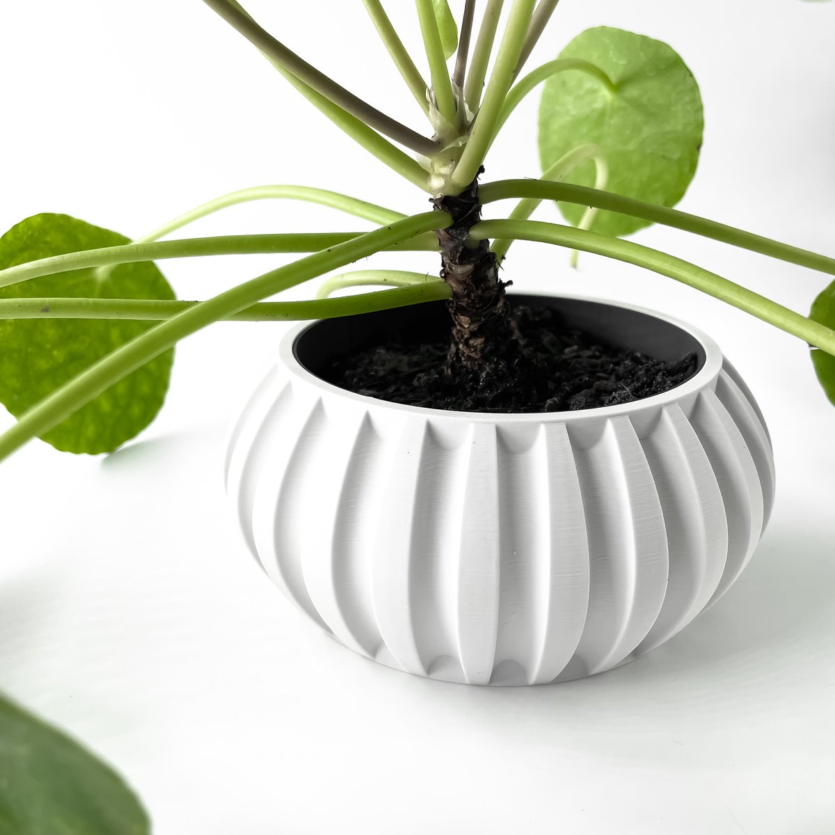 Skushy W10 Bloempot - Moderne Designpot voor Kamerplanten - Sculpturale Plantenpot voor Woonkamer en Kantoor - Premium Woondecoratie
