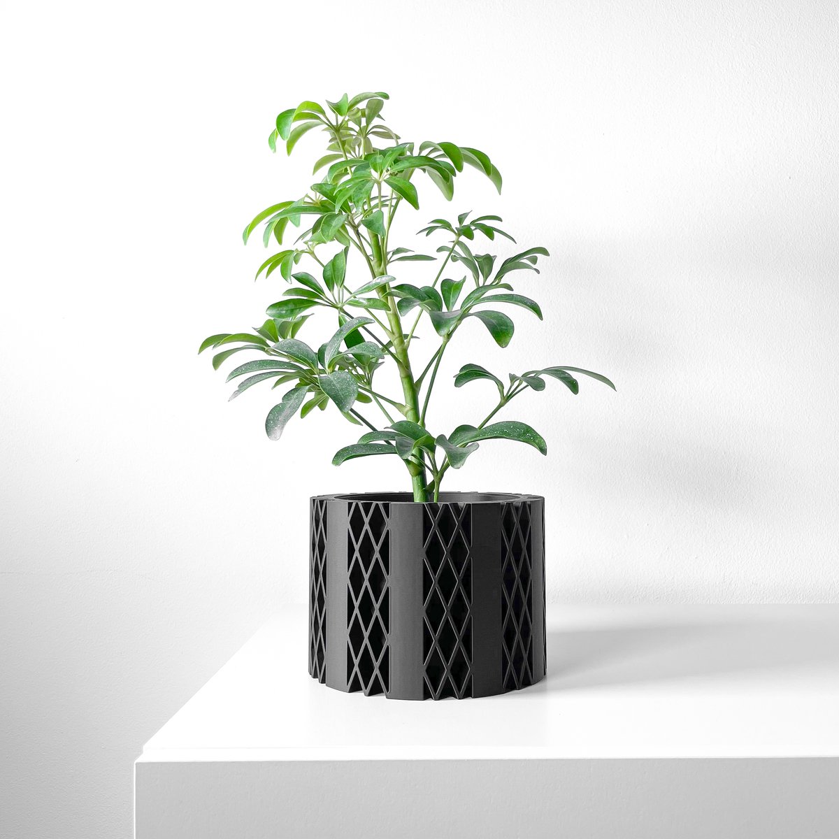 Skushy Arven Bloempot - Moderne Designpot voor Kamerplanten - Sculpturale Plantenpot voor Woonkamer en Kantoor - Premium Woondecoratie