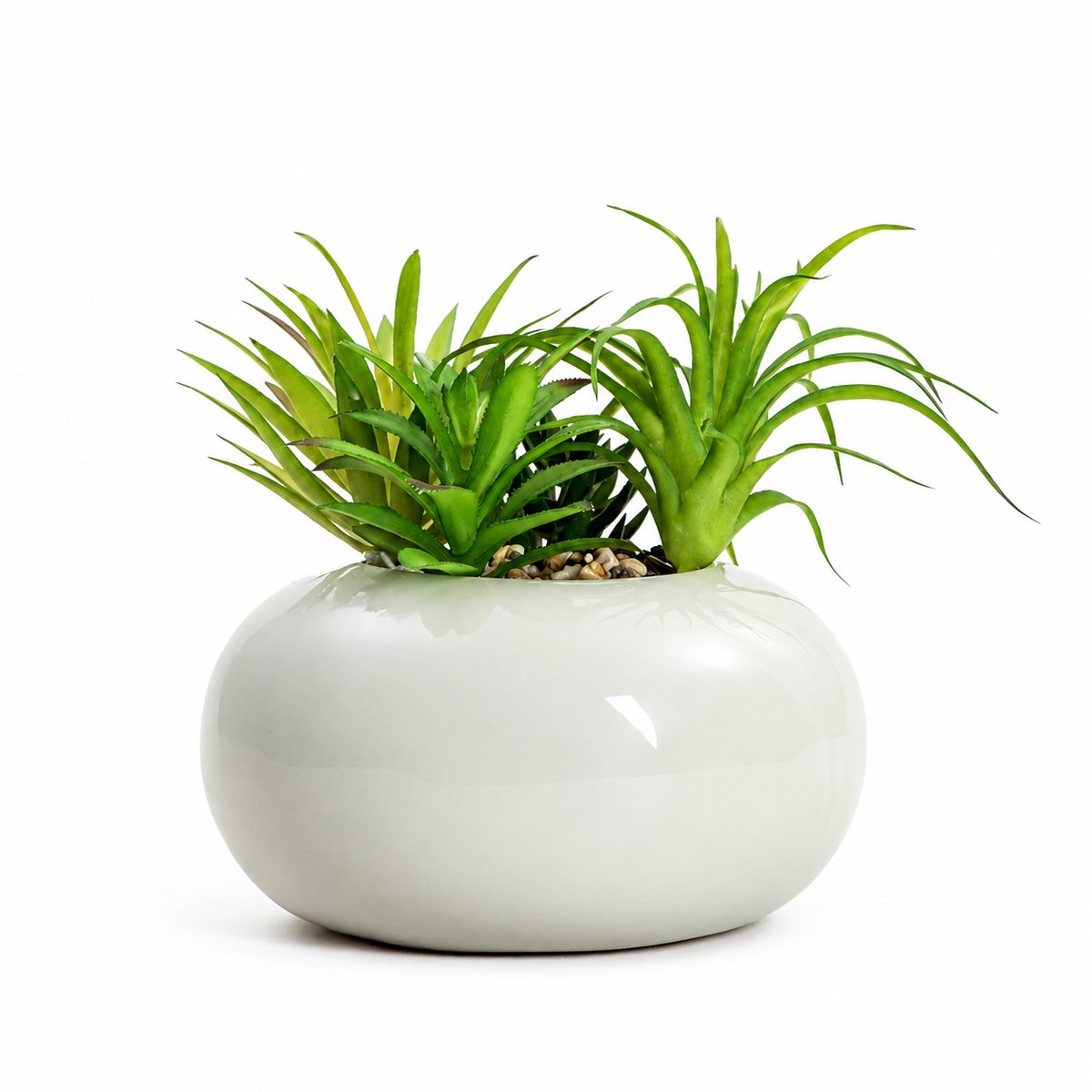 HOMLA - Kunstplant - Succulent in Pot - 19 cm