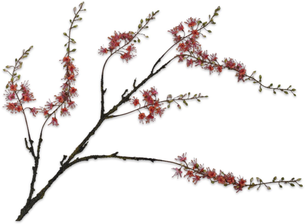 Silk-ka Kunstbloem-Zijden Capparis Tak Oranje 131 cm