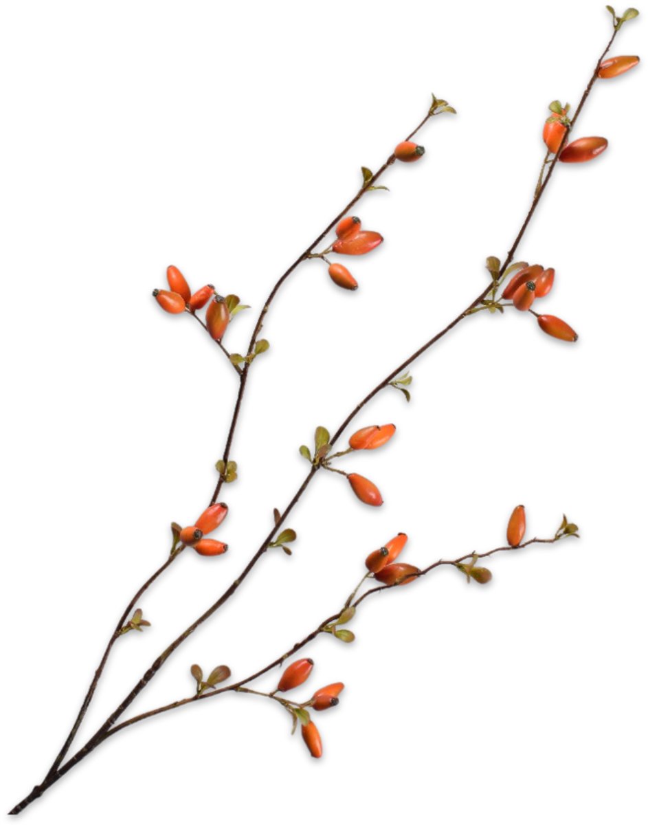 Silk-ka Kunstbloem-Zijden Bloem Rozenbottel Tak Oranje 84 cm