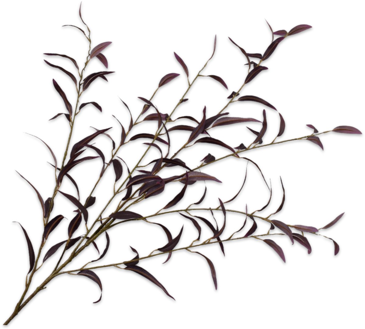 Silk-ka Kunstbloem-Zijden Bloem Eucalyptus Tak Bordeau-Rood 123 cm