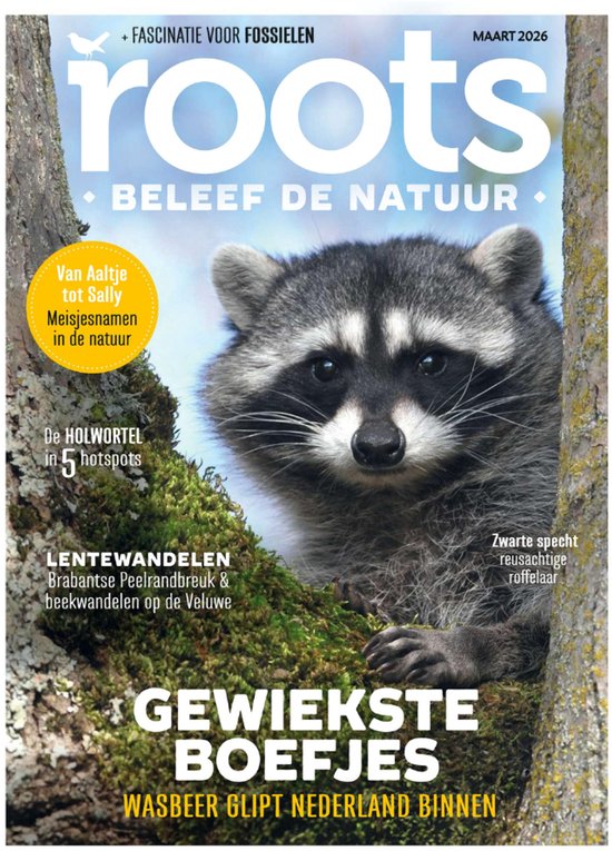 Roots Magazine met een wasbeer op de voorkant. "Gewiekste boefjes wasbeer glipt Nederland binnen".