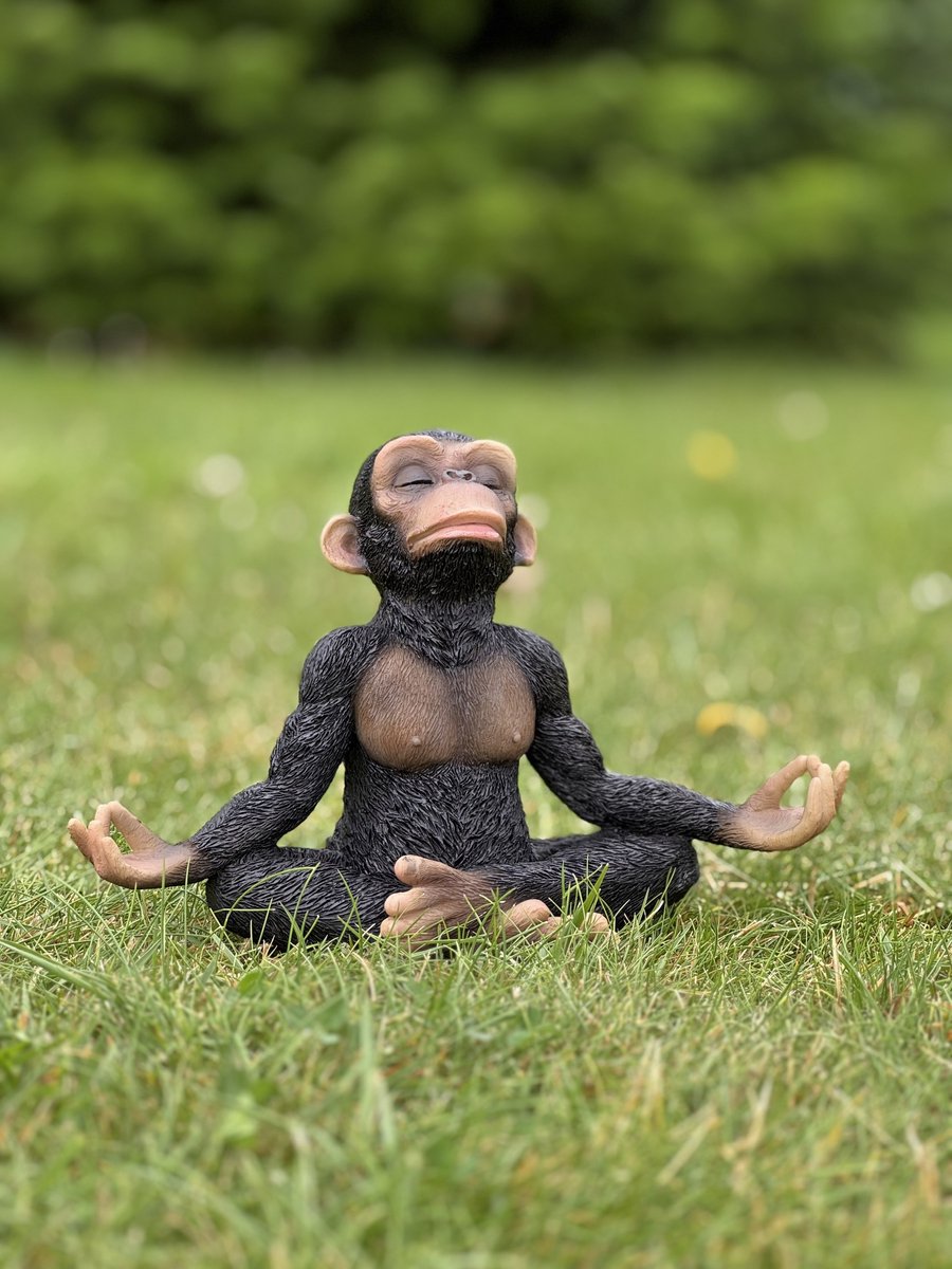Aap yoga 16 cm hoog - Chimpansee - Aap - dierenbeeld - polyester - fleurig - lief - lente - zomer - decoratie - interieurdecoratie - tuindecoratie - cadeau - geschenk - voor haar - Moederdag - Vaderdag - Verjaardag - Nieuwjaar - Kerst - Pasen