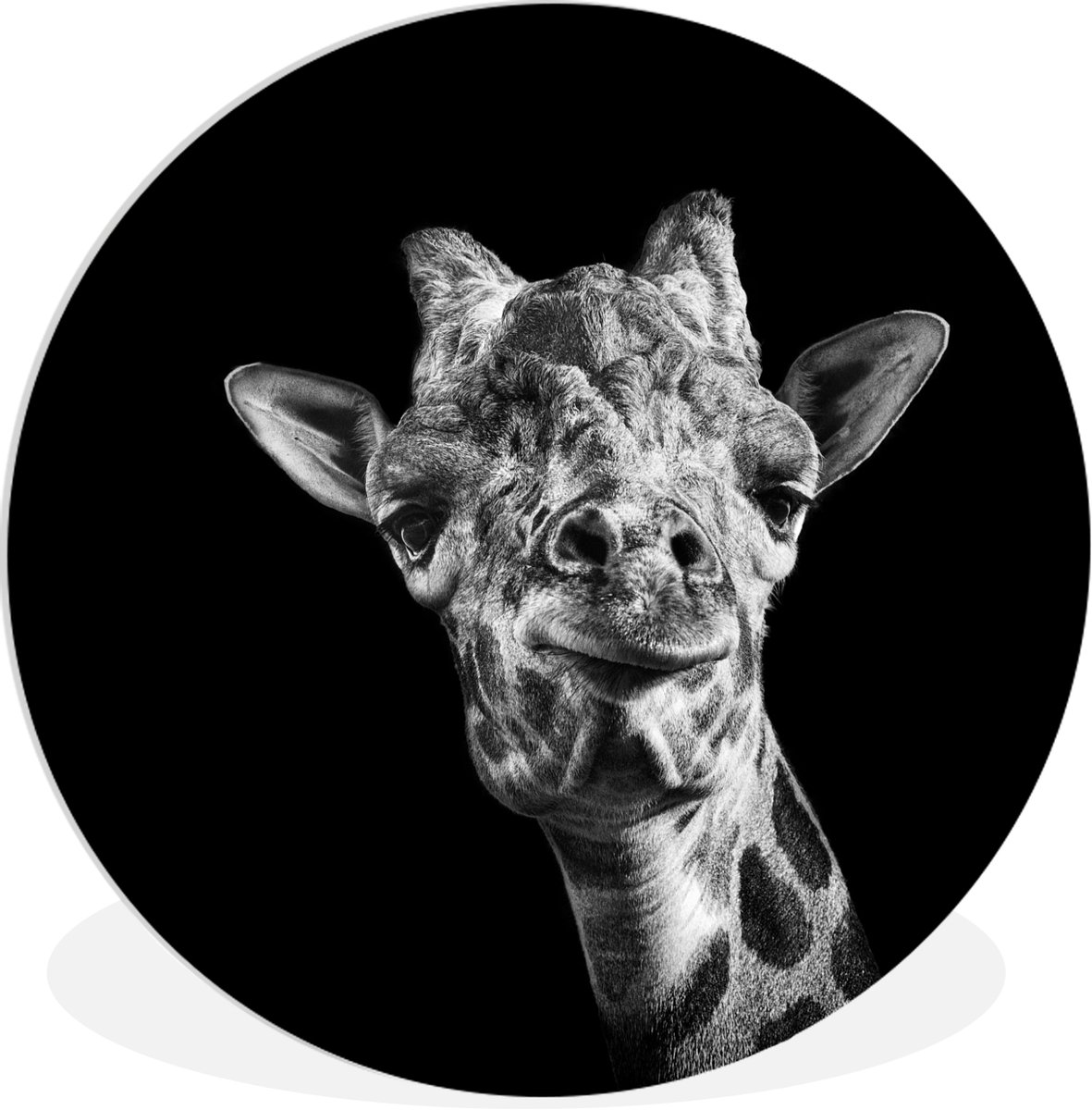WallCircle Wandcirkel 60x60 cm - Muurcirkel Giraffe tegen zwarte achtergrond in zwart-wit - Muurdecoratie woonkamer - Wanddecoratie slaapkamer - Kamer decoratie accessoires - Ronde schilderijen