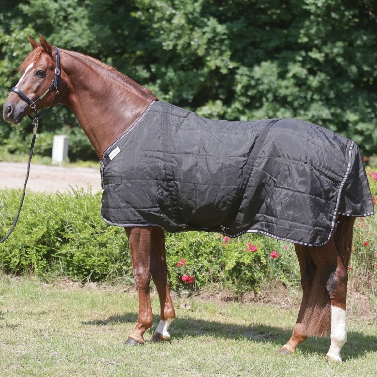 Paardendeken Kavalkade Stallion Chest 200 g