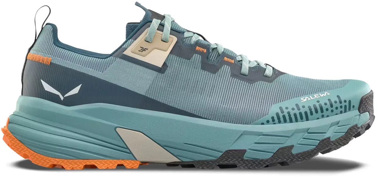 Wandelschoenen Salewa Pedroc 2 Max Willow/pond