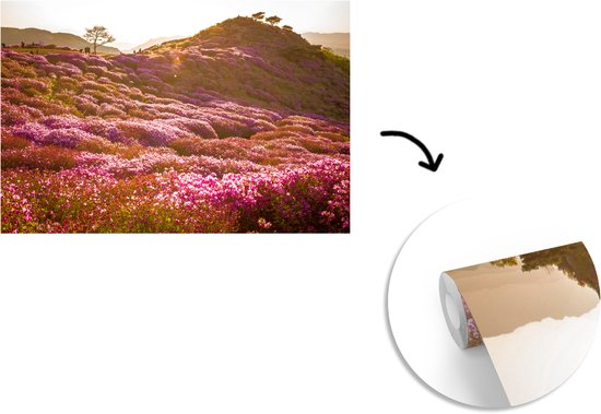 Papier peint photo peint photo vinyle - Paysage de bruyère vallonnée largeur 330 cm x hauteur 220 cm - Tirage photo sur papier peint (disponible en 7 tailles)