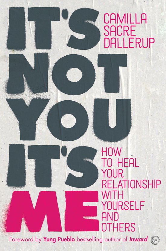 Its Not You Its Me - cover