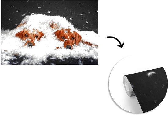 Papier peint photo peint photo vinyle - Labradors cachés entre les plumes largeur 390 cm x hauteur 260 cm - Tirage photo sur papier peint (disponible en 7 tailles)