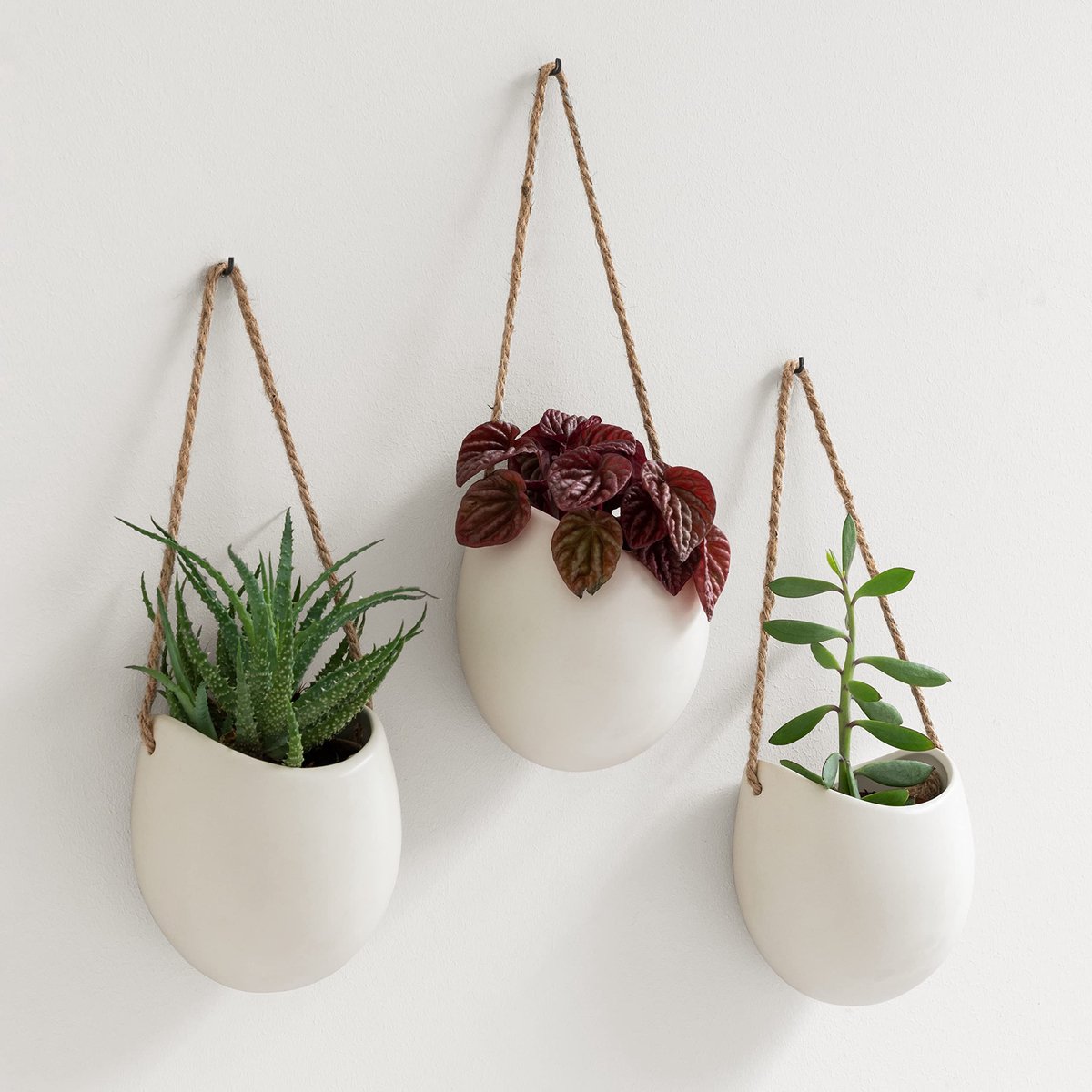 Famanu – Wandplantenbakken set van 3 hangende keramische plantenpotten, wanddecoratie voor binnen, balkon en tuin in crème (mat), ideaal voor het creëren van een stijlvolle uitstraling