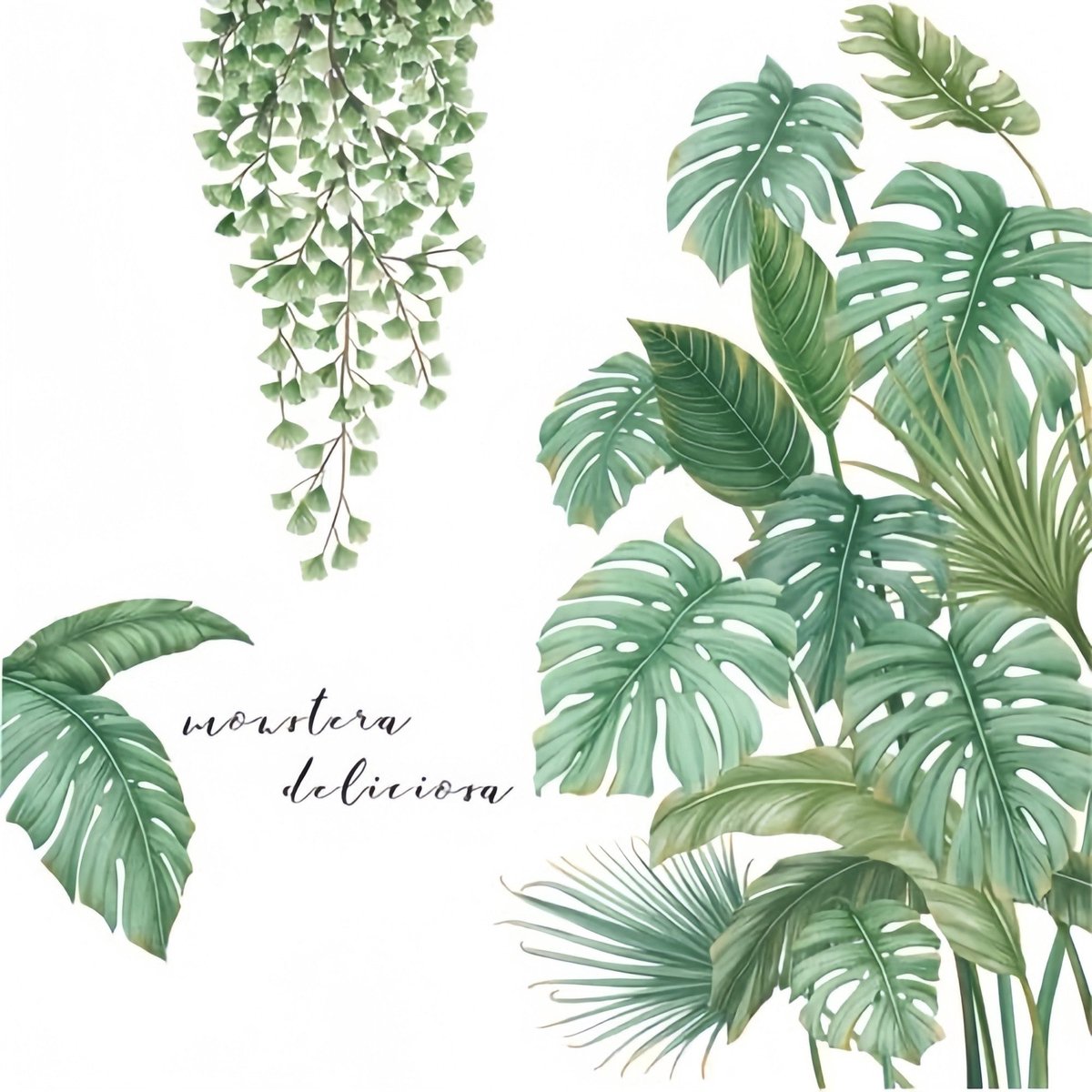 Claoner Wandtattoo - Tropische planten - Behangsticker - Woonkamer slaapkamer - Muurdecoratie