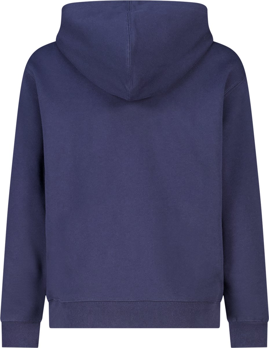 Hoodie Sealey Jr