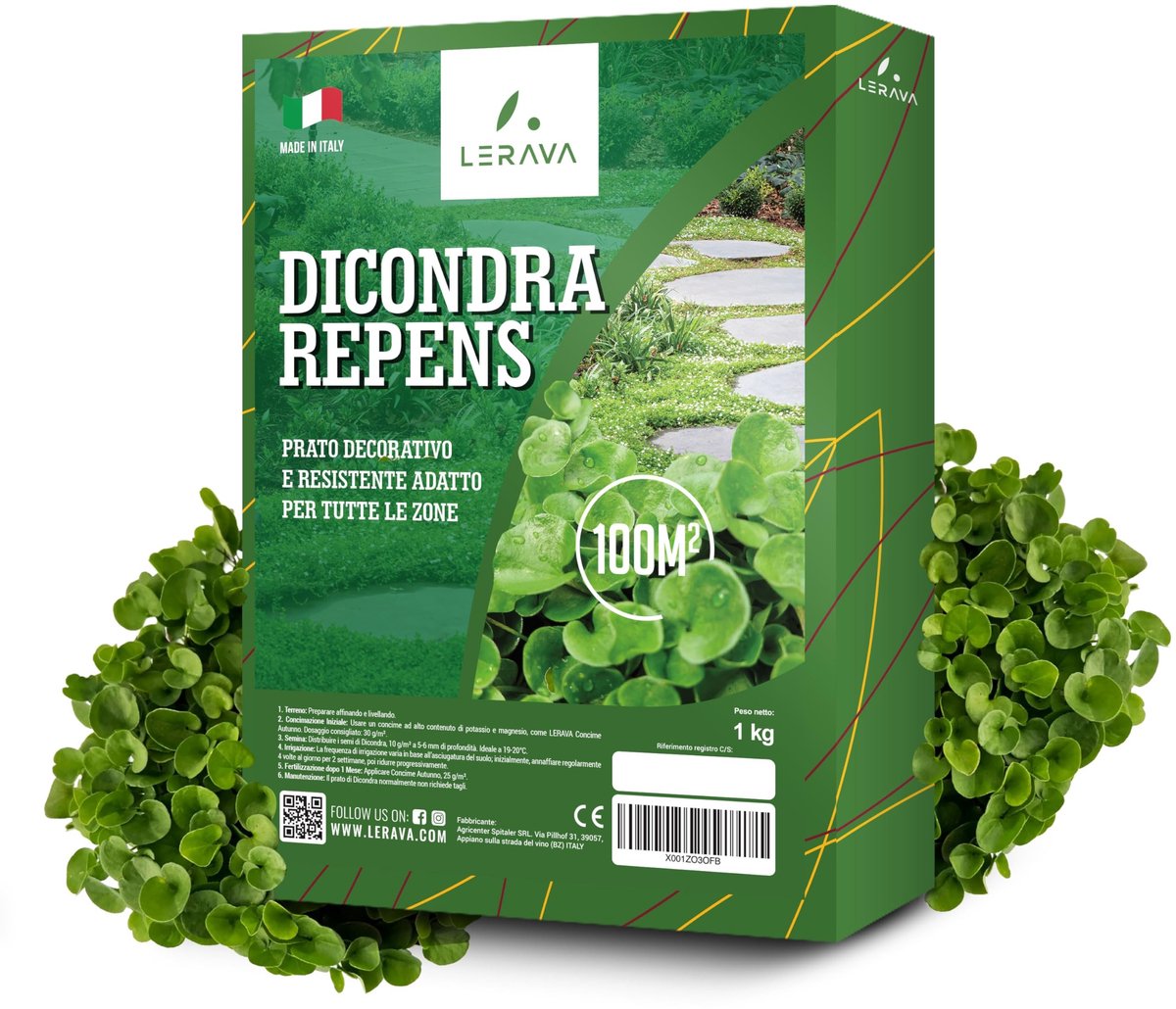 Solidchoice - Dichondra Repens Zaden 400 g voor Onderhoudsarm Groene Bedekking