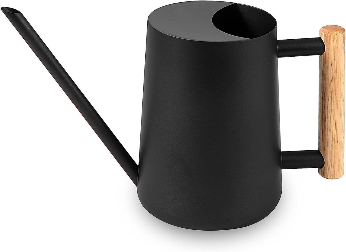 Gieter voor Binnenplanten - Zwart - 1000 ml - Metalen Gieter met Lange Tuit - Voor Kamerplanten en Tuin