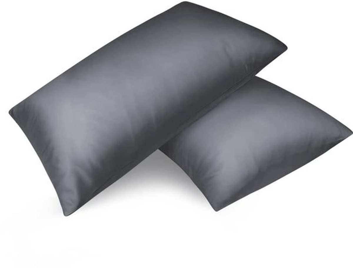 Kussensloop Set van 2 - Satijnen Kussensloop - Ritssluiting - 40 x 60 cm - Haar- en Huidverzorging - Zijdezacht - Kussenhoes