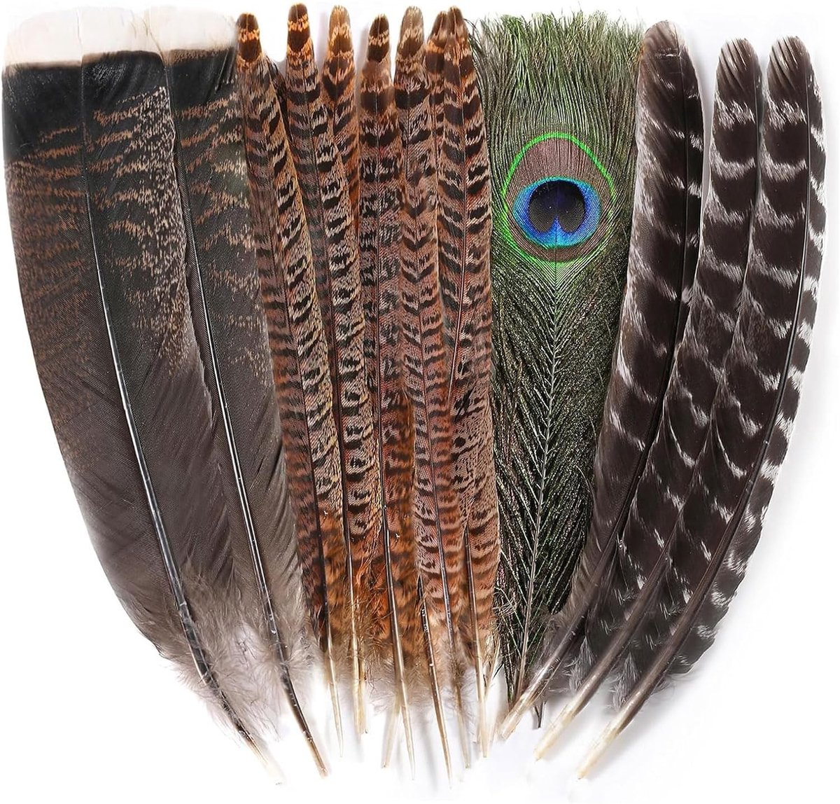 Grote natuurlijke fazantenveren set van 15 stuks, knutselveren voor bruiloften, herfstfeesten en decoraties, inclusief pauwen- en kalkoenveren