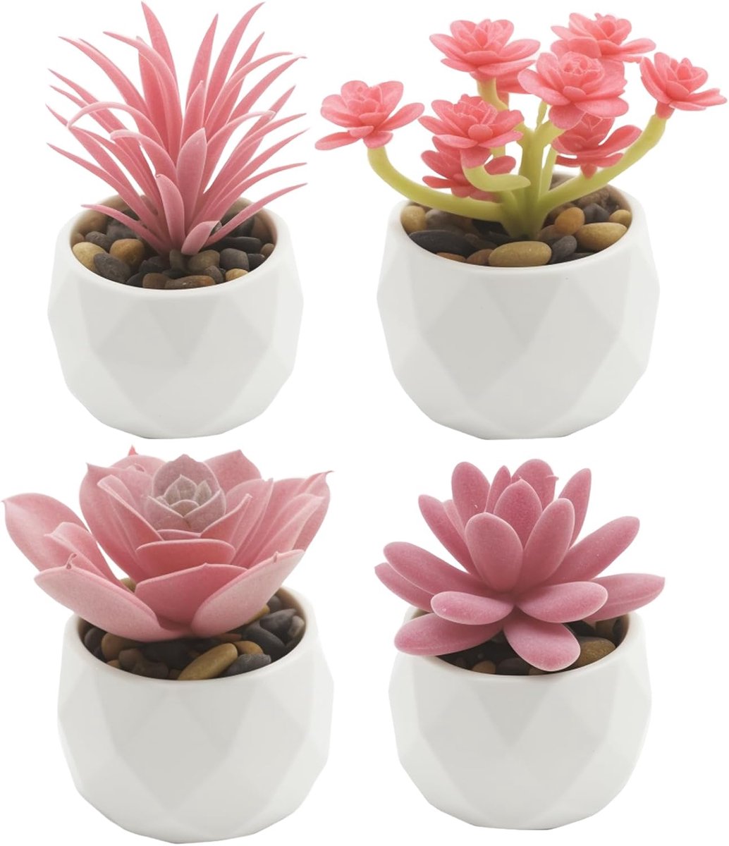 Kunstvetplanten 4 stuks - Roze decoratieve planten - Zwaardgras, edelsteenlotus, cactus, zeerlies - ShopVlot