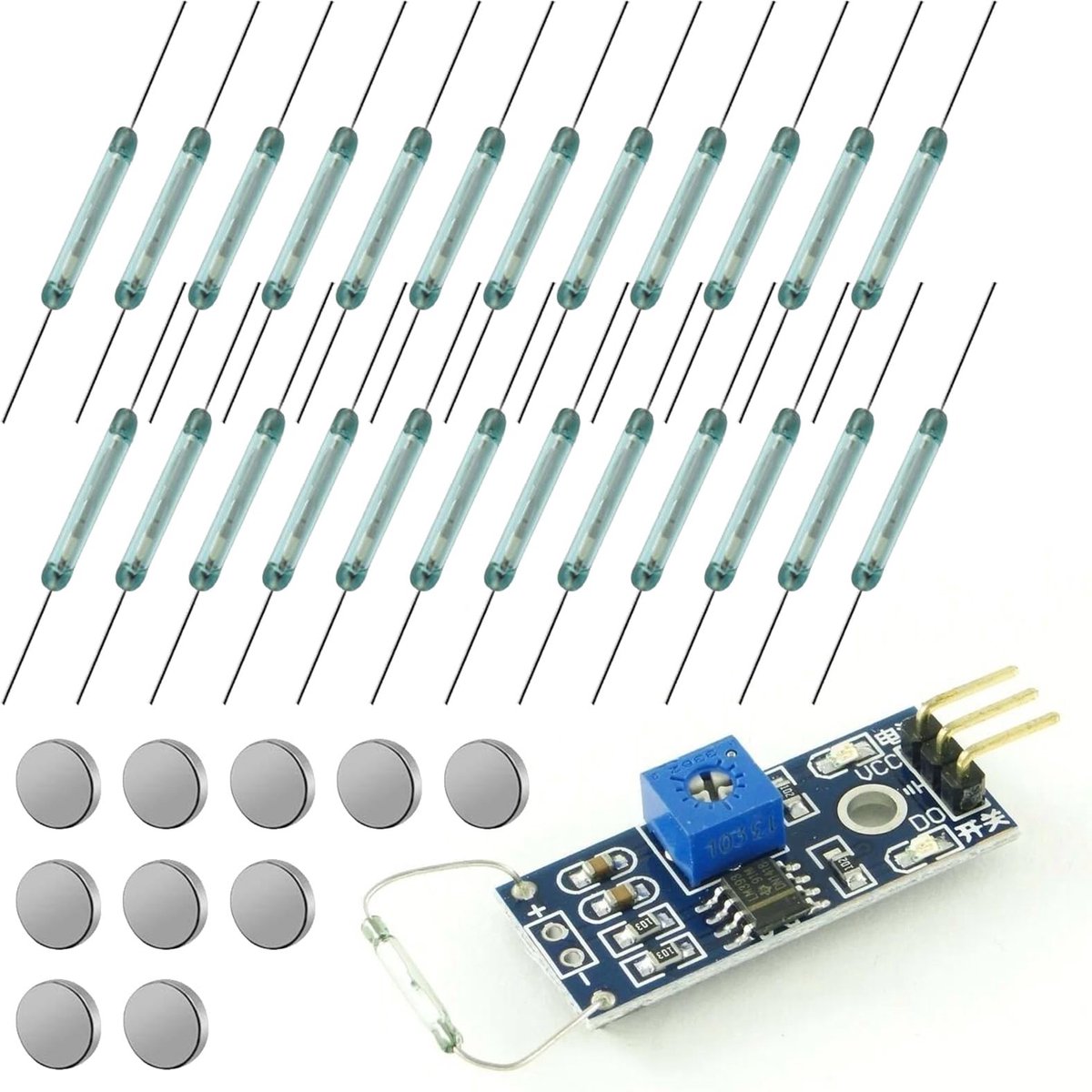 Solidchoice - Set van 24 Glas Reed Switches met 10 Magneten