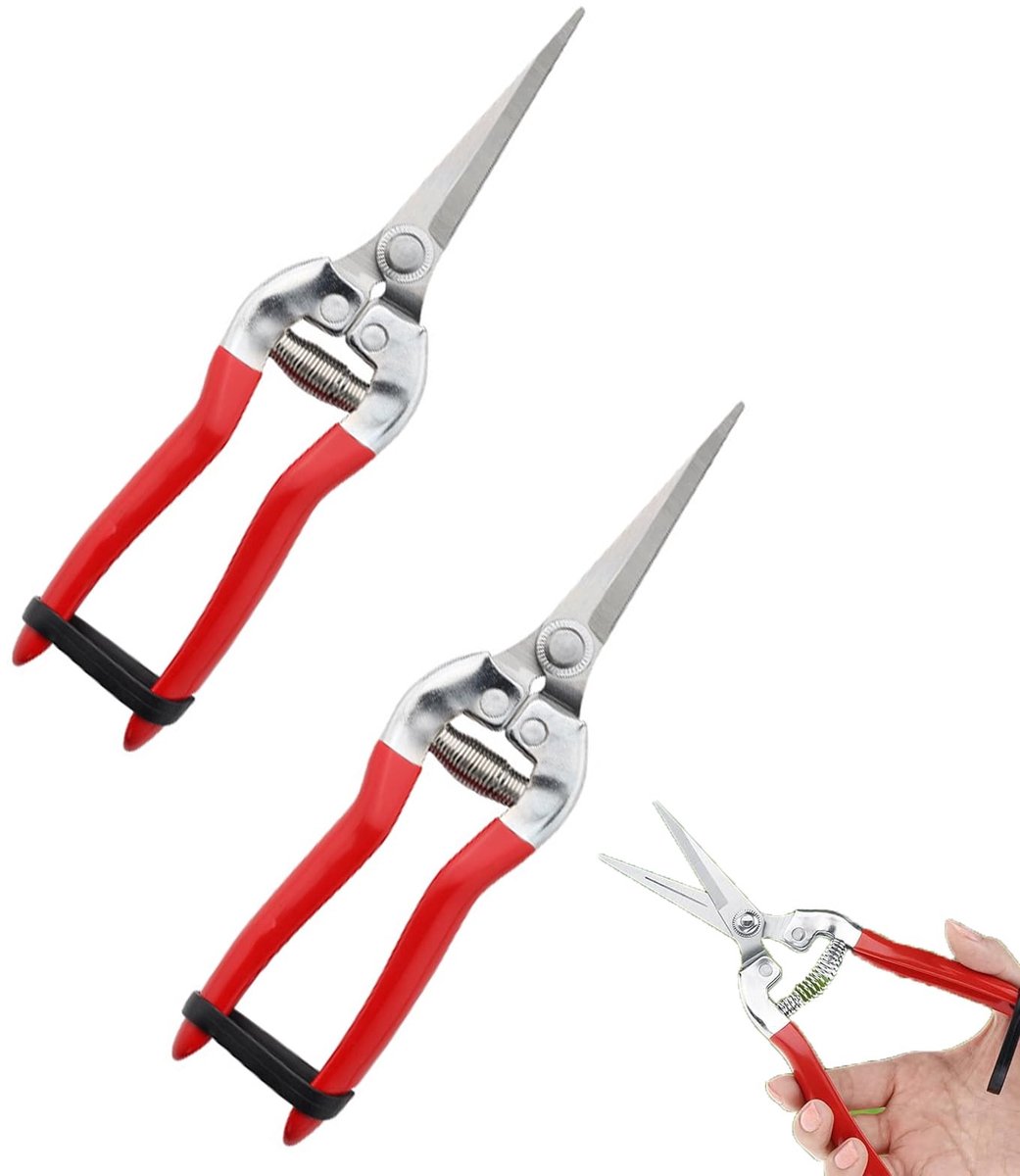 Snoeischaar Set van 2 - Hybride Ratel Ontwerp - Ergonomische Handgreep