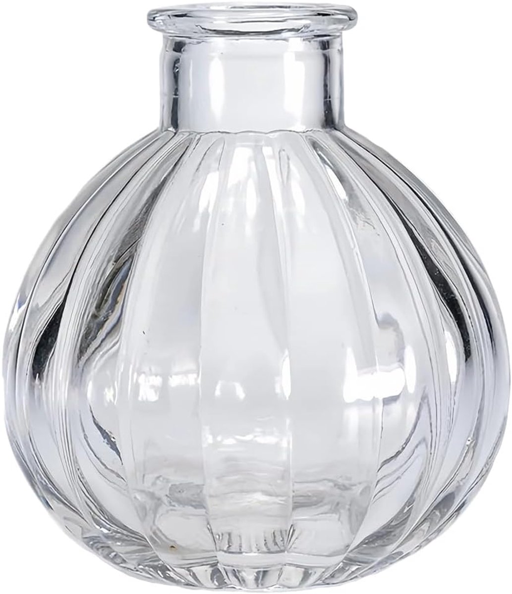 Aromatherapie diffuser fles - 1Pcs helder glas - decoratieve vaas - perfect voor DIY geurstokjes - ShopVlot
