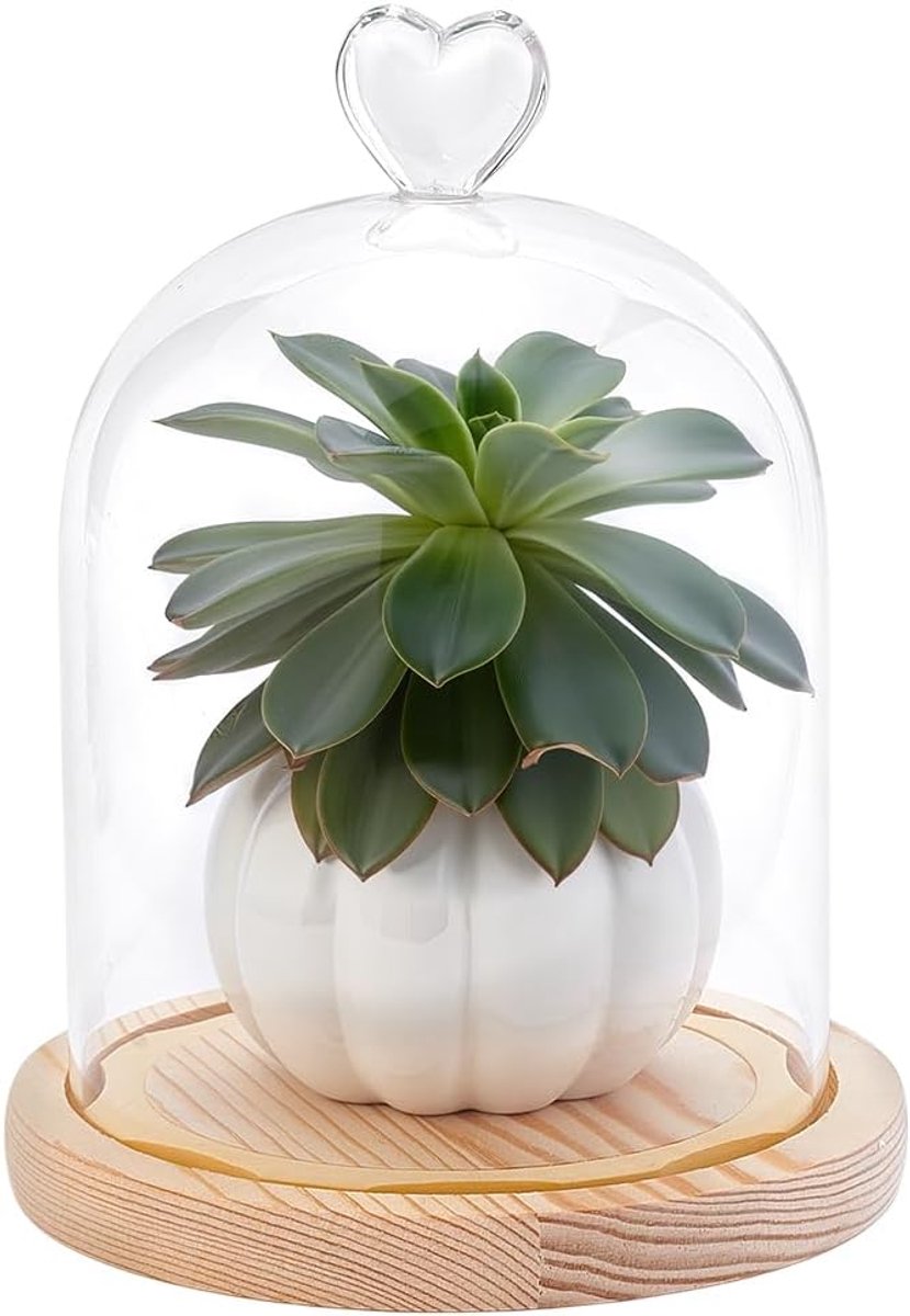 Glazen cloche dome 20 x 14 cm - Hartvormige handgreep - Beige houten basis - Perfect voor antieke verzamelobjecten - ShopVlot