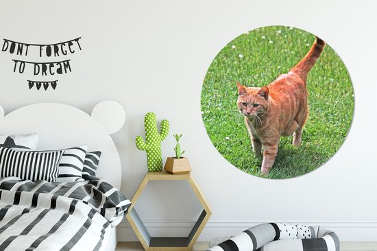 WallCircle - Cercle mural - Cercle mural - Chat - Rouge - Tomcat - Filles - Enfants - Garçons - Enfant - Aluminium - Dibond - 140x140 cm - Intérieur et Extérieur