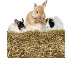 - (2,5 kg) Hooi voor konijnen, Premiumvoer voor volwassen konijnen, Voer met vezels, tandslijtage en gebitgezondheid