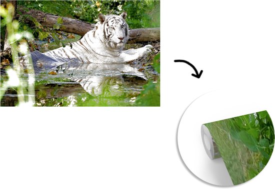 Papier peint photo peint photo vinyle - Tigre Witte dans l'eau largeur 450 cm x hauteur 300 cm - Tirage photo sur papier peint (disponible en 7 tailles)