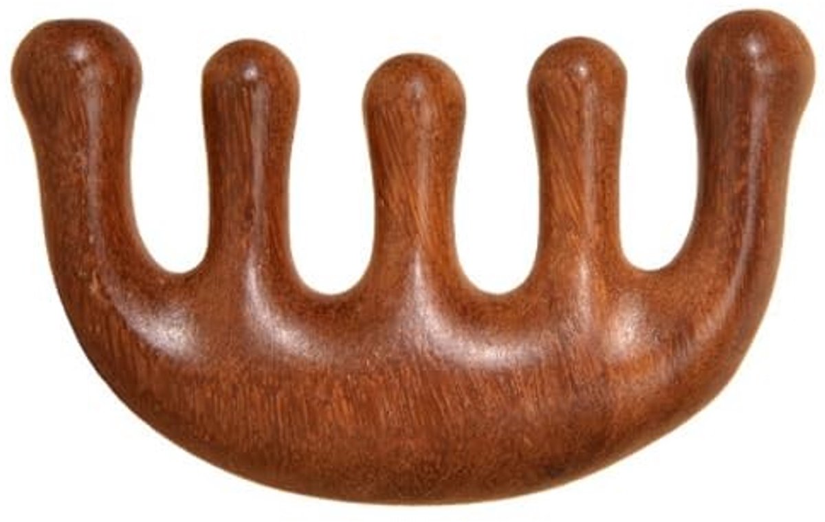 Dailygoods- Hoofdmassage Houten Kam - Guasha-Kam - Massagegereedschap - Hoofd/Gezicht/Nek Massage - Spa/Ontspanningstherapie - Drukpunten Stimuleren - Massagekam
