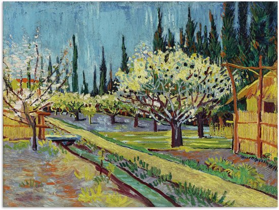 Poster 80x60 cm - Bloeiende boomgaard, omgeven door cipressen - Vincent van Gogh - Posters - Kamer decoratie - Wanddecoratie woonkamer - Muurdecoratie slaapkamer