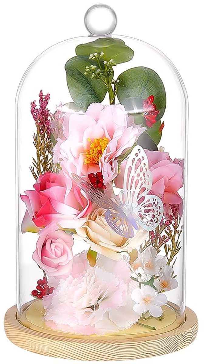 PandaHall Glazen koepel met houten basis, bel, flessen, vitrine, koepel, terrarium, transparant, met handgreep bovenaan, voor planten en bloemen, 17,2 x 30 cm