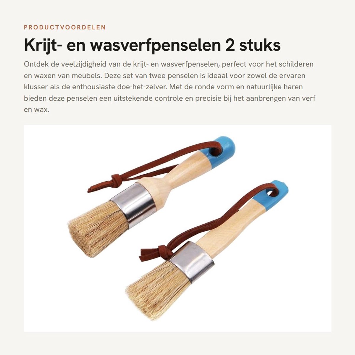 Dailygoods- Krijtverfpenselen 2 stuks - Ronde/Ovale Borstels - Natuurlijke Haren - Doe-het-zelf Schildergereedschap - Geschikt voor Meubels - Efficiënt Verfplukken - Schilderborstel
