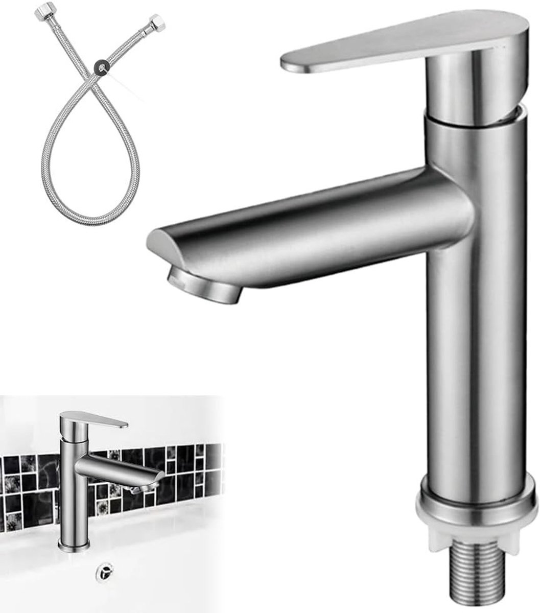Koudwaterkraan voor Badkamer, RVS Mengkraan met Slang, 175mm, Ideaal voor Wastafel en Gasten-Toilet