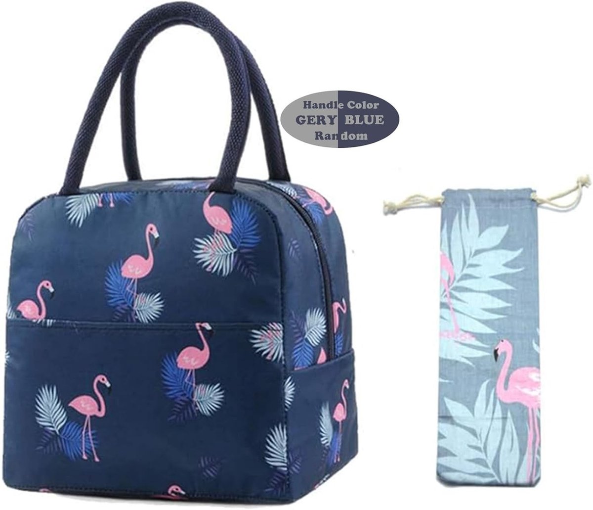 Geïsoleerde Lunchtas voor Picknicks en Verpakte Maaltijden, Unisex Koeltas voor Volwassenen en Kinderen