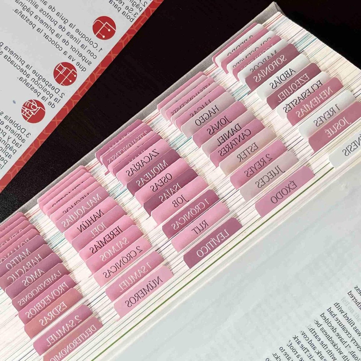 Bijbeltabs - Bijbelstickers - Bijbelstudie - Herpositioneerbaar - 80 Stuks - Roze