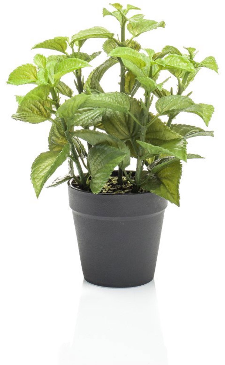 Mint in black pot 23 cm kunstplant Emerald