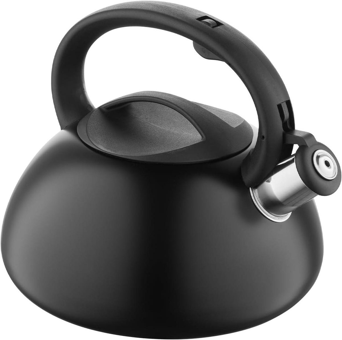 Waterkoker - Theeketel Fluitketel - Water Koken - Roestvrij Staal - 25 Liter - Zwart