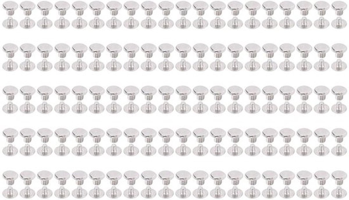 Rivets set in assortiment voor reparatie - platte ronde kop klinknagel, 100 stuks