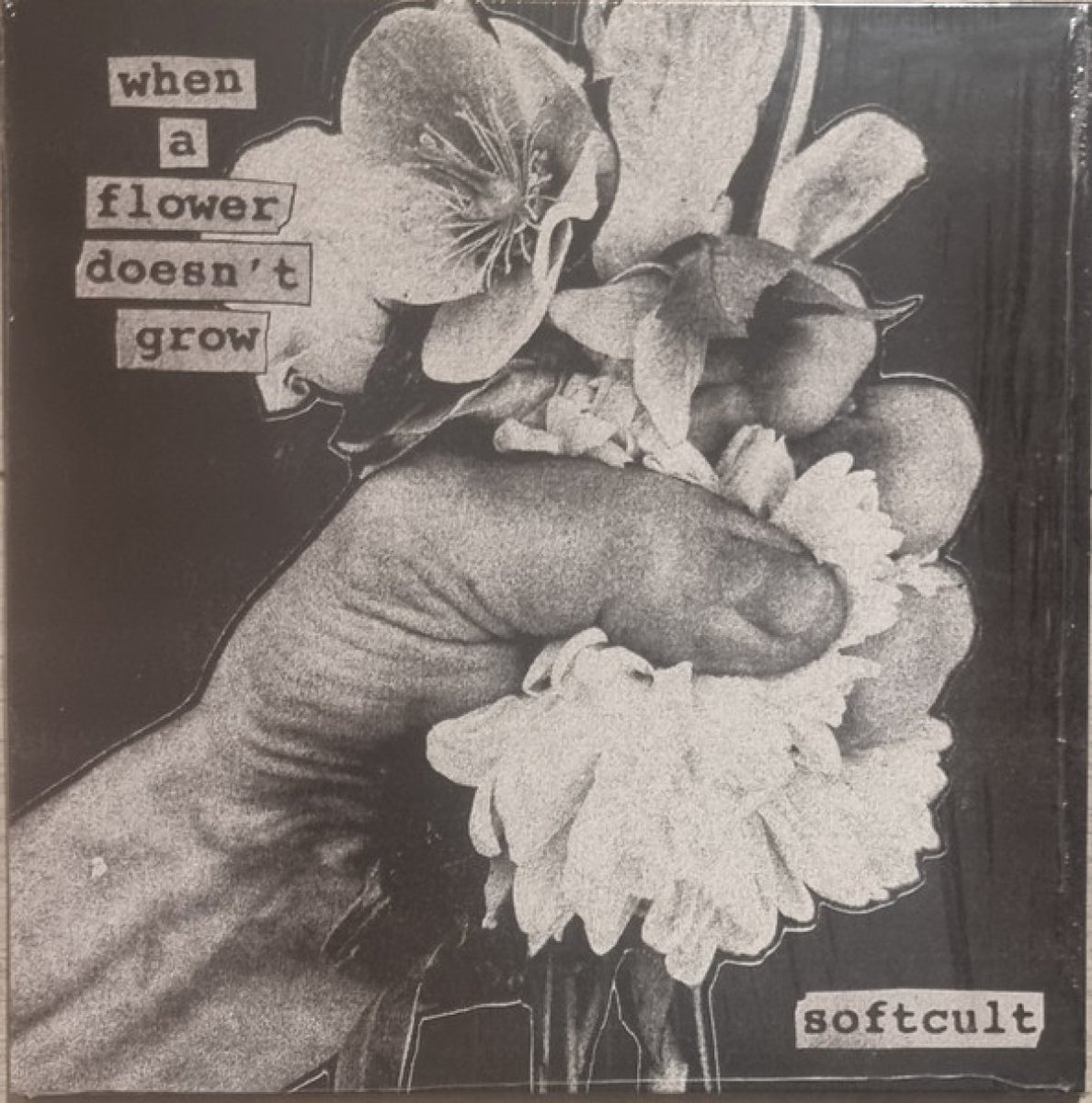 When A Flower Doesn't Grow