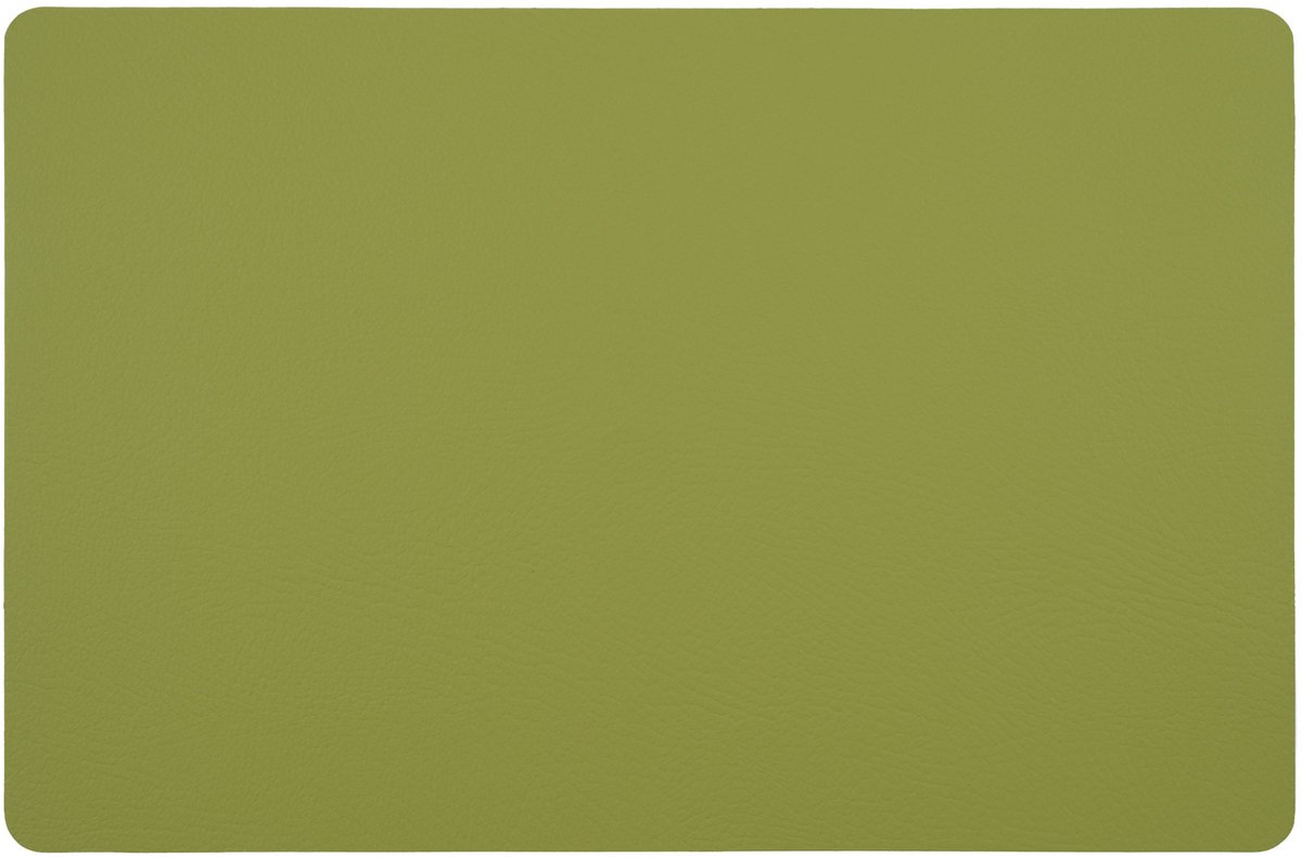 Placemat set gerecycled leer - rechthoek - 28,5 x 43,5 cm - 4 stuks - Thyme