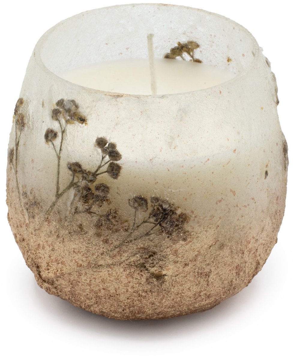 Ancient Wisdom Small Glass Jar Candles - Wildlight Woods multicolor