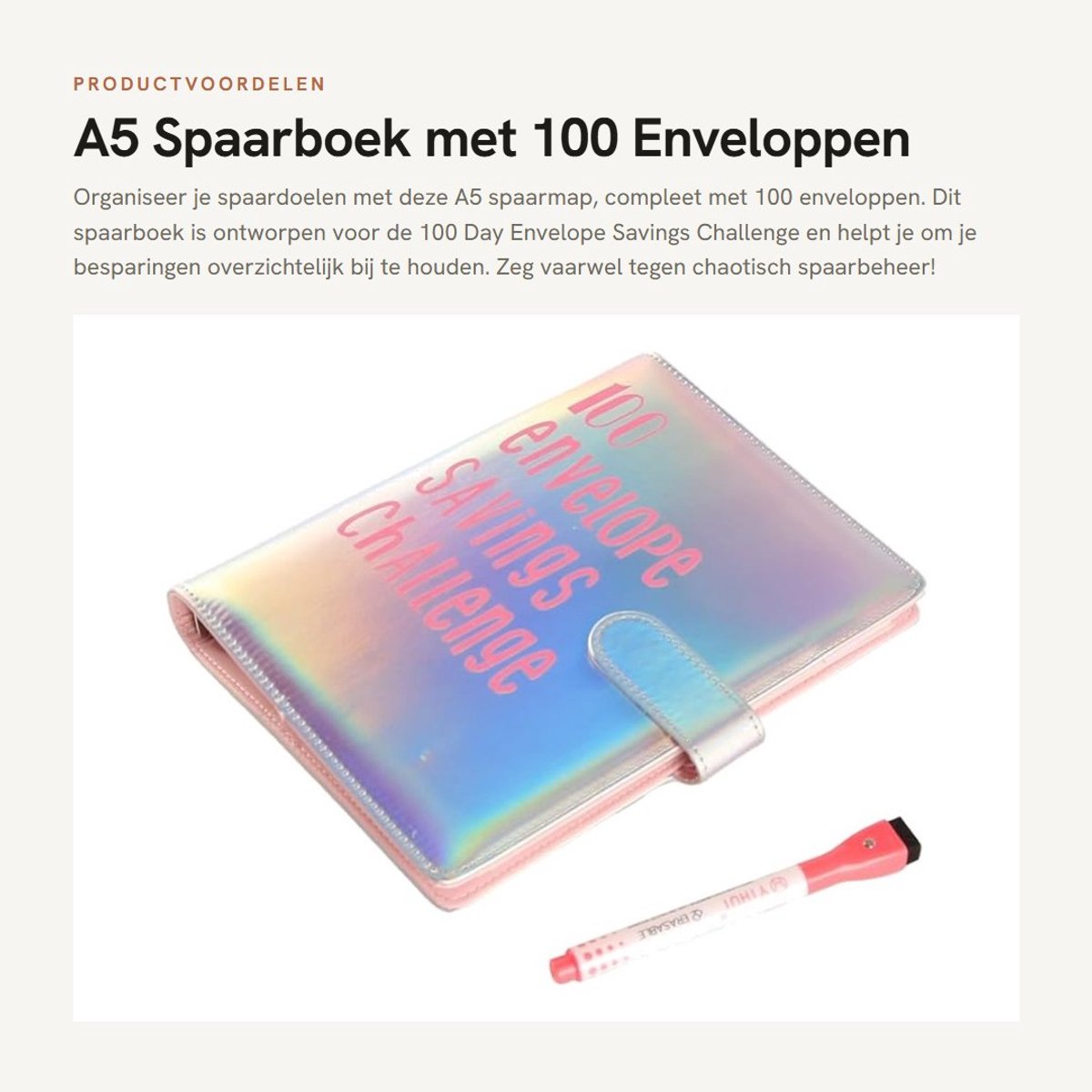 Dailygoods- Spaarboek - Spaarmap met 100 Enveloppen - Spaaruitdaging - Financieel Beheer - Dazzling Silver - Organisatie en Visualisatie