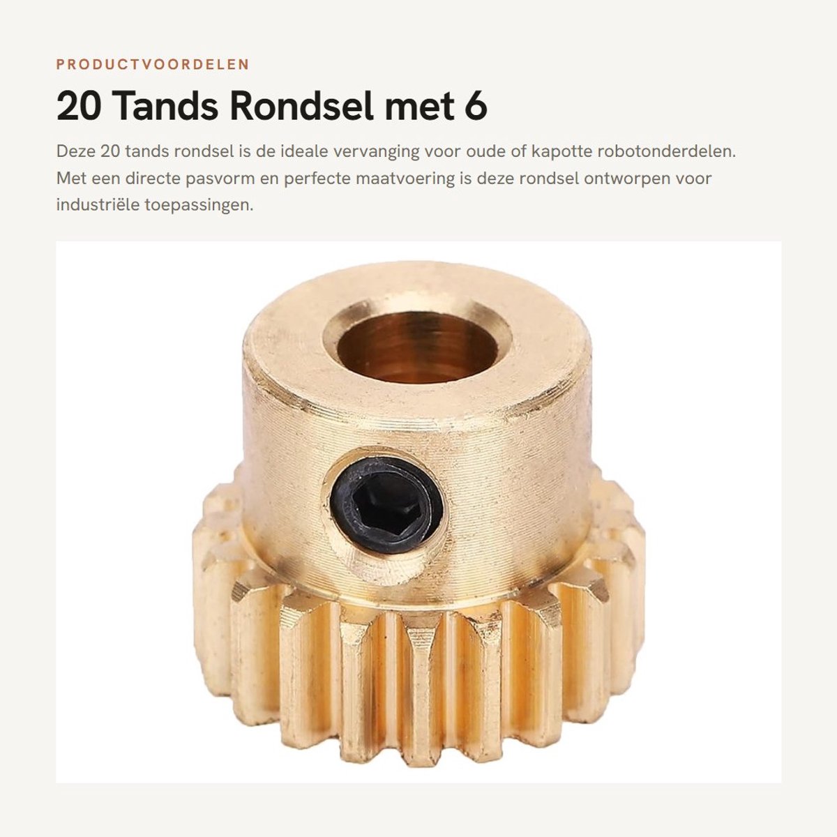Dailygoods- Rondsel 20 Tands - 6 Mm Gat - Modulus 0,8 - Vervanging Robotonderdelen - Hoge Kwaliteit - Nauwkeurige Maat - Tandwiel